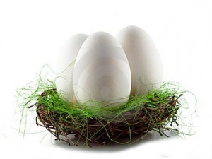 husí vejce v košíku