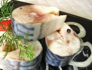 соленая маринованная скумбрия